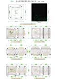ZS-5055 50W通用推挽牛